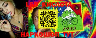 молекула духа Будённовск
