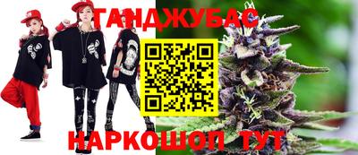 молекула духа Будённовск