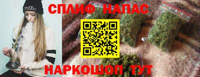 молекула духа Будённовск