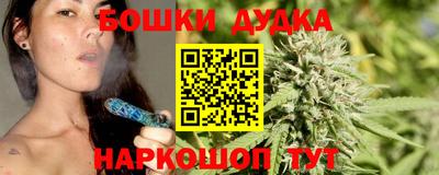 молекула духа Будённовск